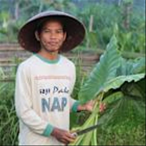 BofA Raises its Price Target on CF Industries Holdings (CF) to $103 from $86