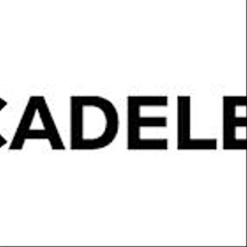 Cadeler Reports Strong 2024 Annual Results, Marking a Year of Strategic Transformation and Strong Growth