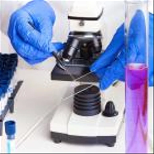 Vera Therapeutics Eyes Breakout On Promising Results For Kidney Drug