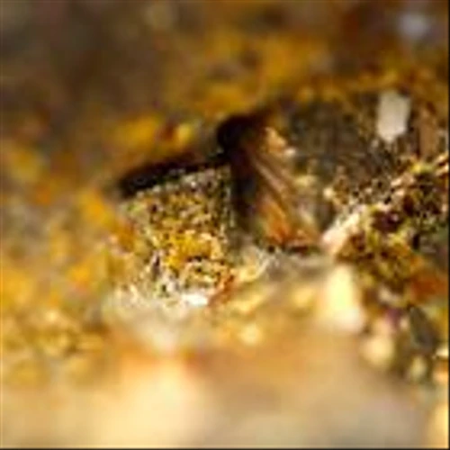 Gold Fields to close Damang mine in Ghana after lease renewal rejection
