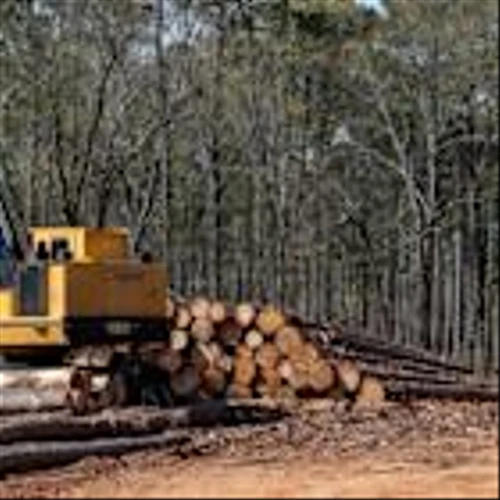 Successful Forest Stewardship Relies on a Deeper Understanding of Local Landowners