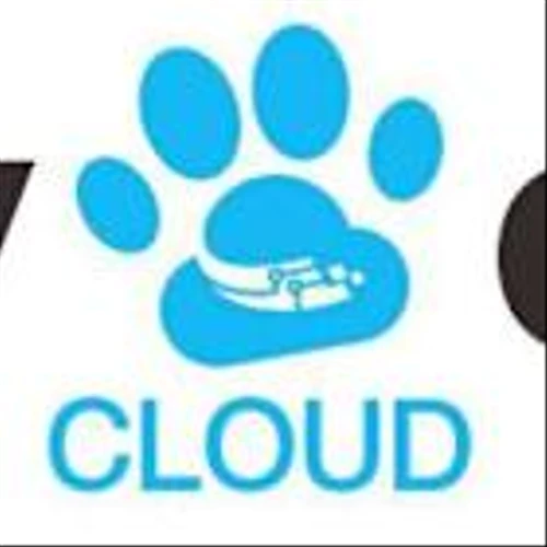 ChowChow Cloud International Holdings Limited Provides Response to Unusual Market Action