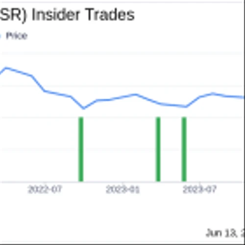 Director Amy Feng Acquires 17,000 Shares of Whitestone REIT (WSR)