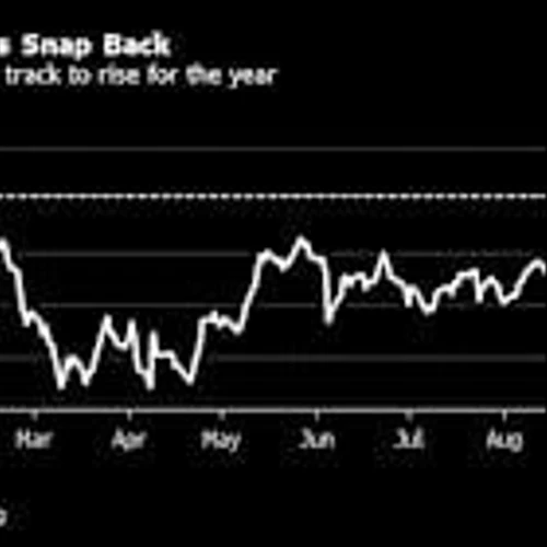 Musk’s $1 Billion Tesla Stock Buy Sends Shares Up for the Year