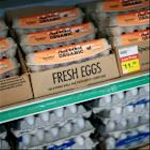 Justice Department Opens Antitrust Probe Into Egg Price Spike