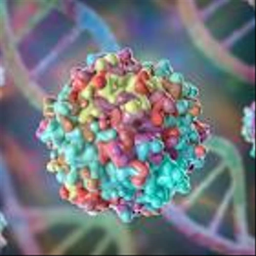 MeiraGTx spins Parkinson’s, obesity gene therapies into AI startup