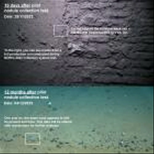 TMC Subsidiary NORI Shares Preliminary Findings on Environmental Impacts of Pilot Nodule Collection System Test