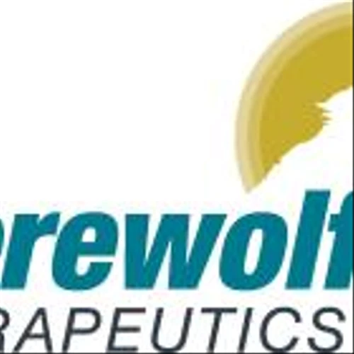 Werewolf Therapeutics Appoints Michael Atkins, M.D., to its Board of Directors