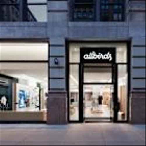 Allbirds Q4 sales plunge as shift from DTC takes a toll