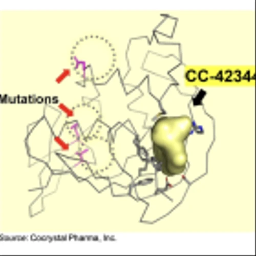 COCP: CC-42344 Shows In Vitro Activity Against Avian Influenza A (H5N1)…