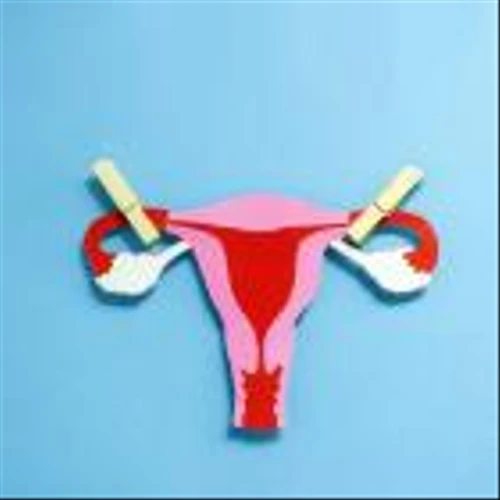 FDA clears FemChec for fallopian tube occlusion testing