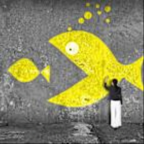Will Pfizer Acquire Altimmune or Viking Therapeutics After Its Obesity Pill Setback?