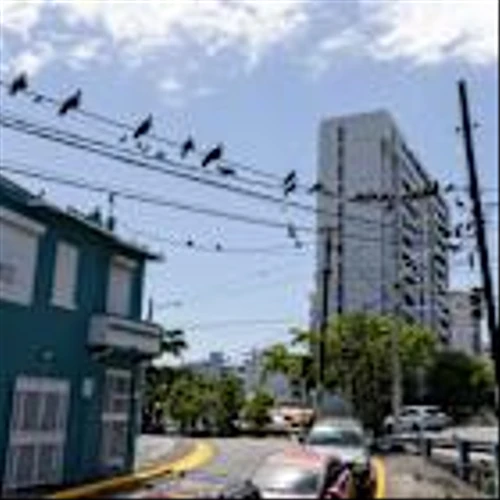 Deal to restructure Puerto Rico power company debt crumbles as some bondholders walk away