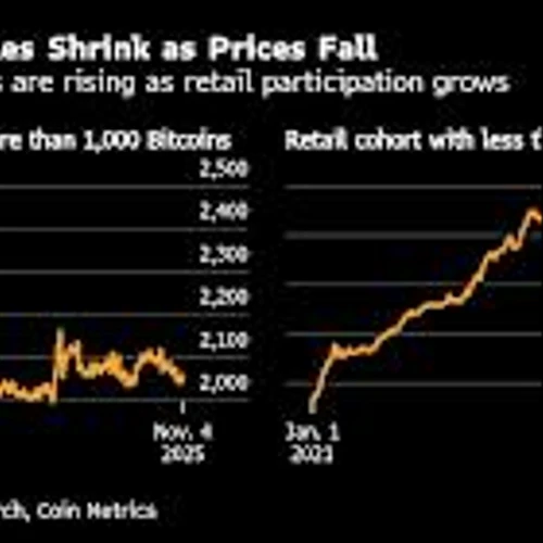 A $25 Billion Bitcoin Bet Frays as Doubt Hits Big Buyers