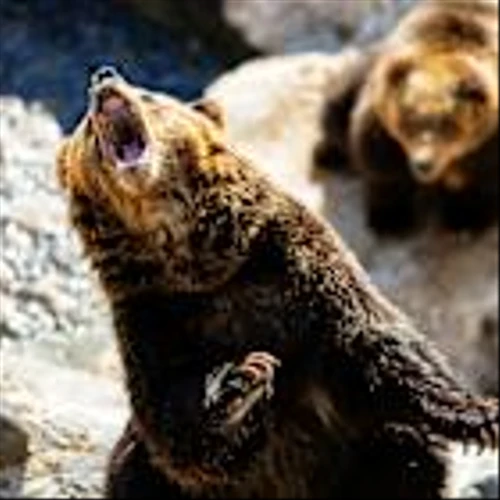Stock market sell-off: Why these stocks are in the green amid the pain