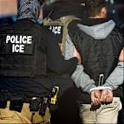 Companies aiding Trump’s immigration crackdown see ‘extraordinary’ revenues