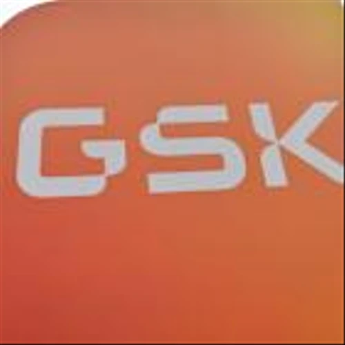 GSK’s Blood-Cancer Treatment Combinations Approved in Japan