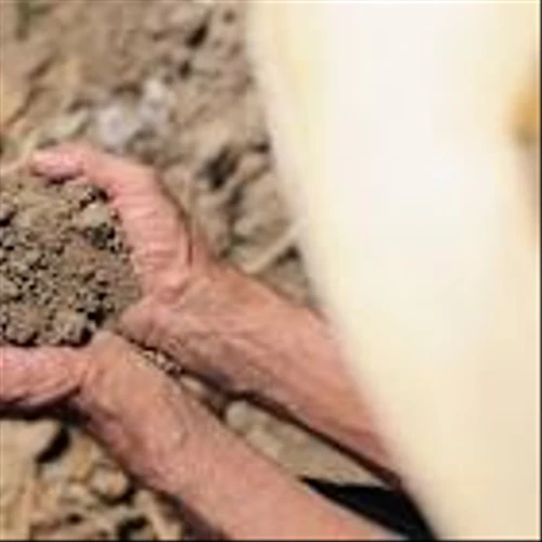 PepsiCo, Alliance of Bioversity International, and CIAT Launch Major Update to Open-access Climate Resilience Platform to Accelerate Climate Adaptation