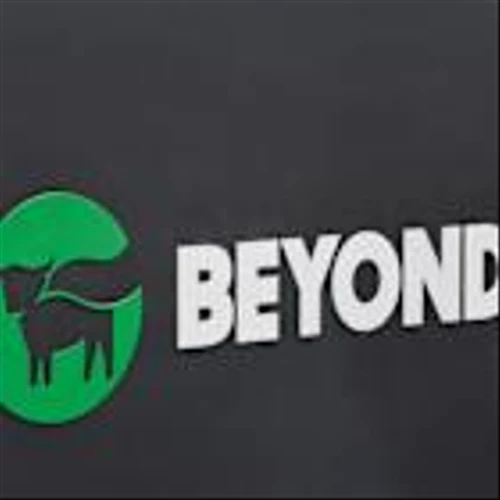 Should investors be buying Beyond Meat's meme stock rally?