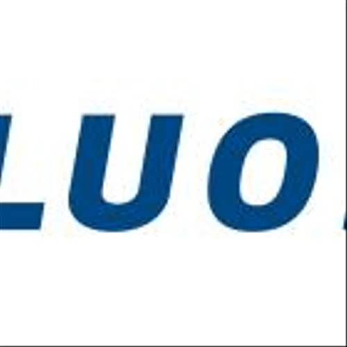 Fluor Reports Fourth Quarter and Full Year 2024 Results