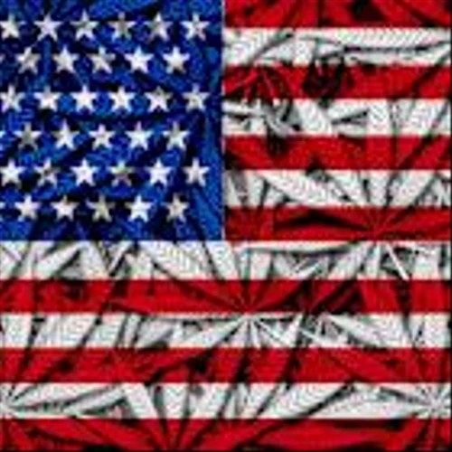 Why Aurora Cannabis Stock Just Rocketed Higher