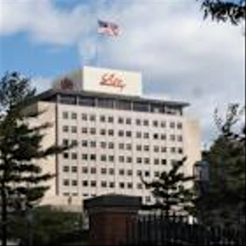 Netflix’s Stock Split Is Almost Here. Eli Lilly Could Be Next.