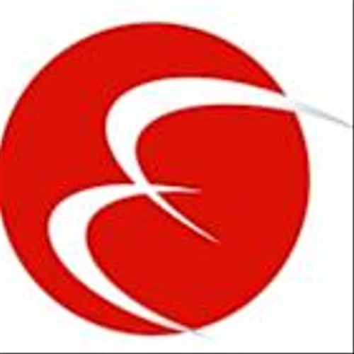 Eastern International Ltd. generated over RMB 45 million (approximately US$ 6.323 million) in revenue from its ongoing logistics services for offshore wind power projects and also launched the Yangjiang offshore project