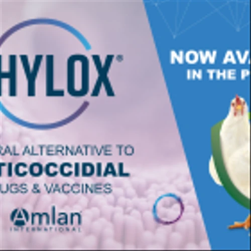 Phylox®, a Natural Solution for Coccidiosis, Now Available in the Philippines