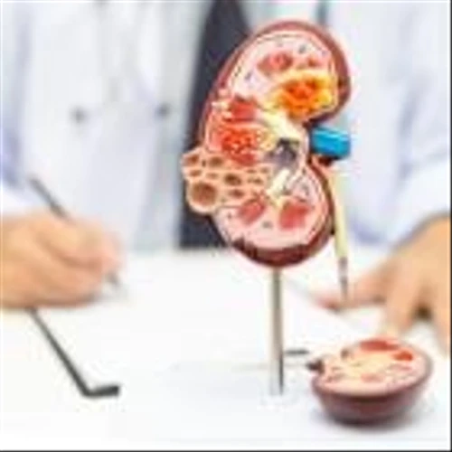 Bayer eyes label expansion on Phase III non-diabetic CKD win