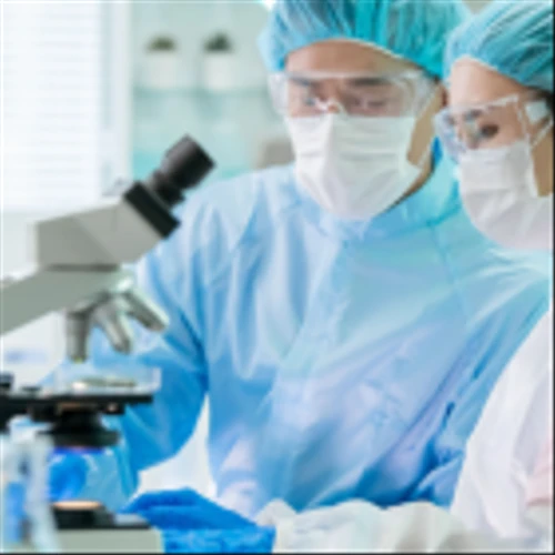 Small-Cap Sensations: 3 Stocks Predicted for Massive Growth in 2024