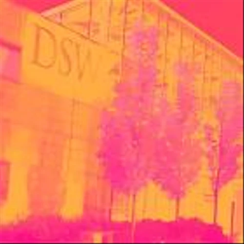 3 Reasons to Avoid DBI and 1 Stock to Buy Instead