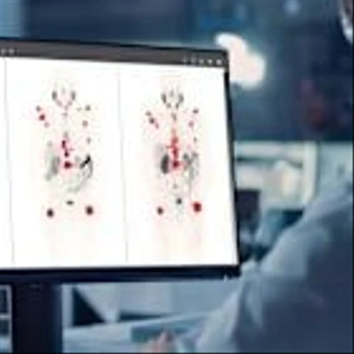 These 3 Stocks Are Healthcare Leaders. Bullish Charts Show It.