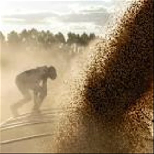 Archer Daniels, Bunge Stocks Plunge to Lowest Level in Years. Soybean Tariffs Are Why.