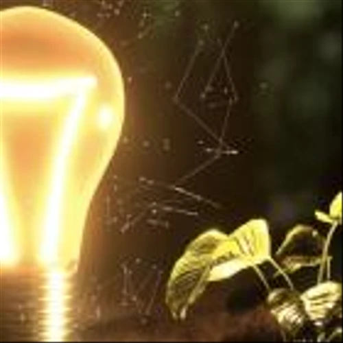 Gryphon Digital Mining Achieves Milestones in Environmental Sustainability