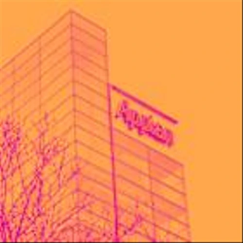 Appian, C3.ai, Domo, Qualys, and Shopify Stocks Trade Down, What You Need To Know