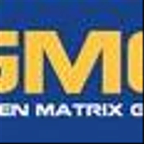 Golden Matrix Group Strengthens Board of Directors With Key Executive Appointment