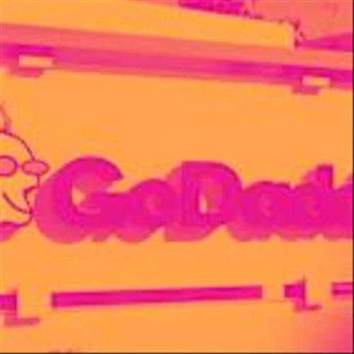 GoDaddy’s Q1 Earnings Call: Our Top 5 Analyst Questions