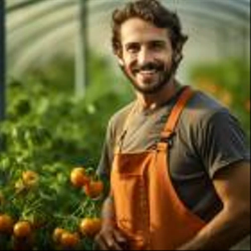 Is Village Farms International, Inc. (VFF) the Best Marijuana Stock to Buy According to Hedge Funds?