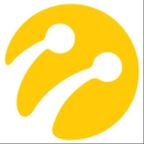 Turkcell Iletisim Hizmetleri AS (IST:TCELL) Q3 2024 Earnings Call Highlights: Strong Revenue ...