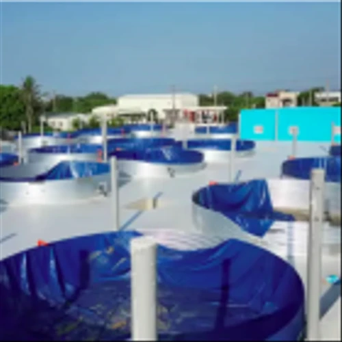 Nocera Takes Strides in Alabama Fish Farm and Expands its Aquaculture Initiatives in Asian Markets