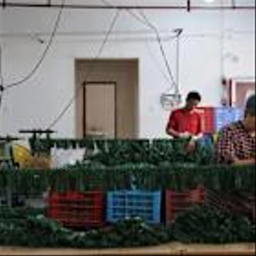 Fewer fake firs, higher prices: China tariff delay does little to save the holidays
