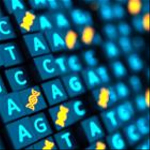 Beam base editing therapy gets ‘proof of concept’ in rare lung disease