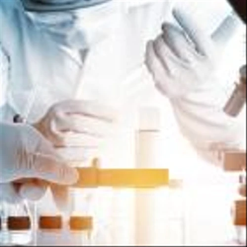 Analysts Bullish on Jasper Therapeutics as Briquilimab Trials Show Promise