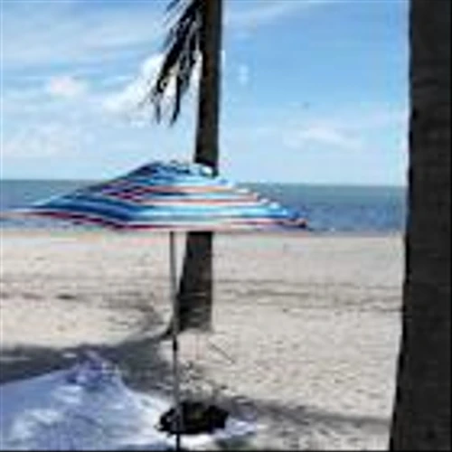 Stock Markets Are Enjoying a Summer Surge. What Could Rain on Gains.