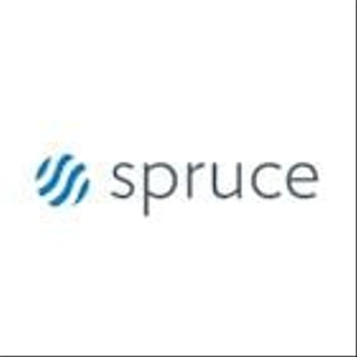 Spruce Power Appoints Thomas Cimino as Chief Financial Officer