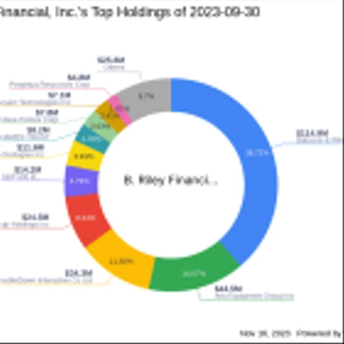 B. Riley Financial, Inc. Bolsters Portfolio with Synchronoss Technologies Inc Acquisition