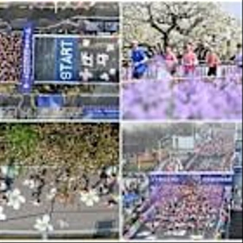 2026 JD.com Suqian Marathon Concludes Successfully, 12,000 Runners Chase Dreams in China's "Hometown of Water and Fine Wine"