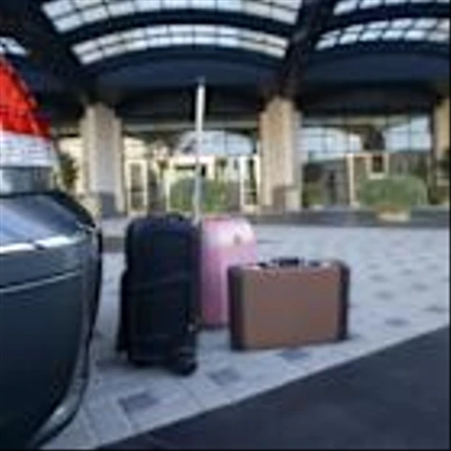 Best Growth Stocks to Buy for Nov. 12