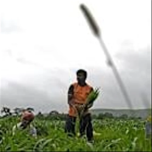 How regenerative agriculture – and funding – is slowly taking root