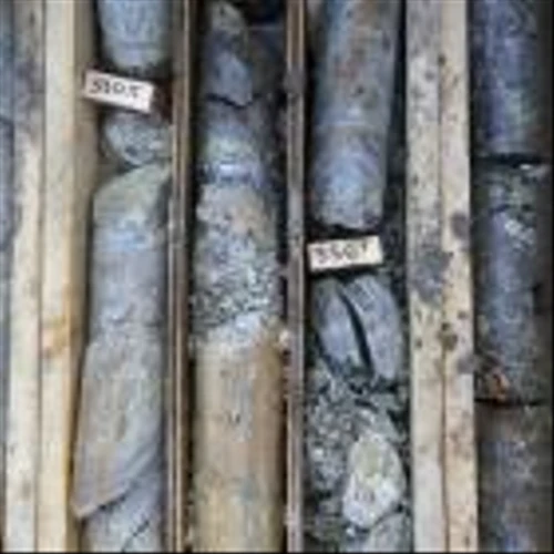 South32 Hopeful Trump Will Allow Access to Alaska Copper Region